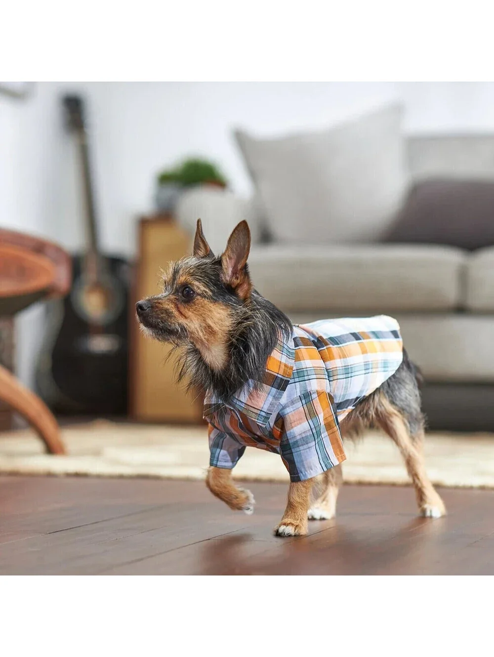 FRISCO ORANGLE BLUE WHITE PLAID DOG & CAT PET BUTTON UP SHIRT MEDIUM